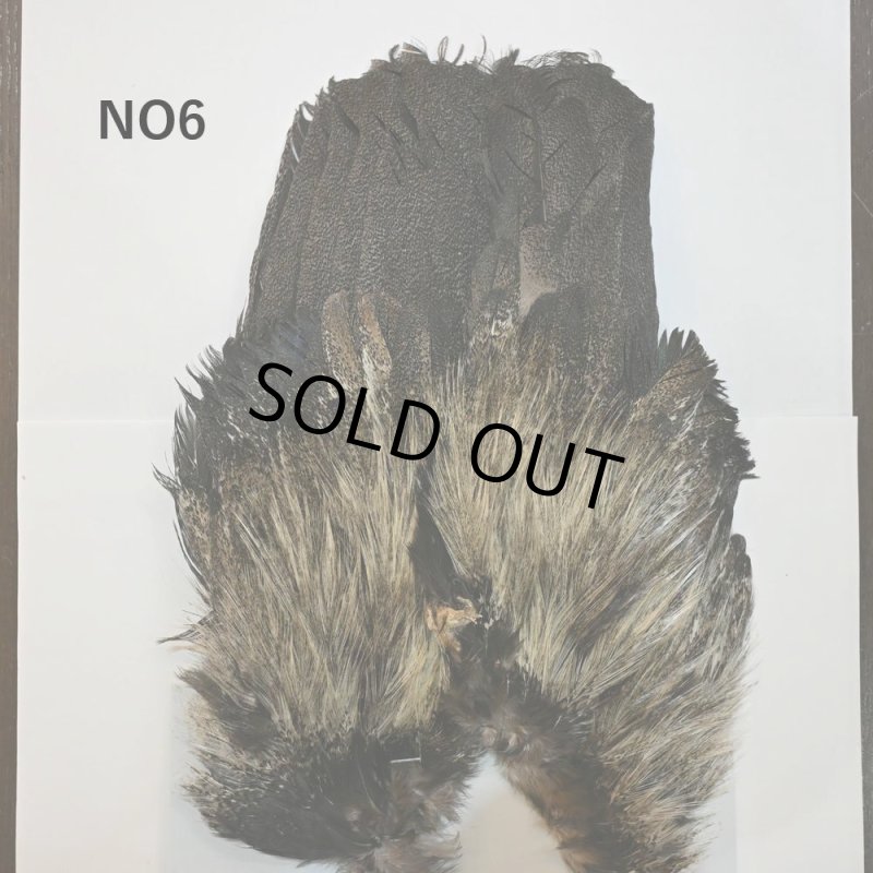 画像6: 【WHITING】Coq de Leon Rooster Wing - BRONZE GRADE   (6)