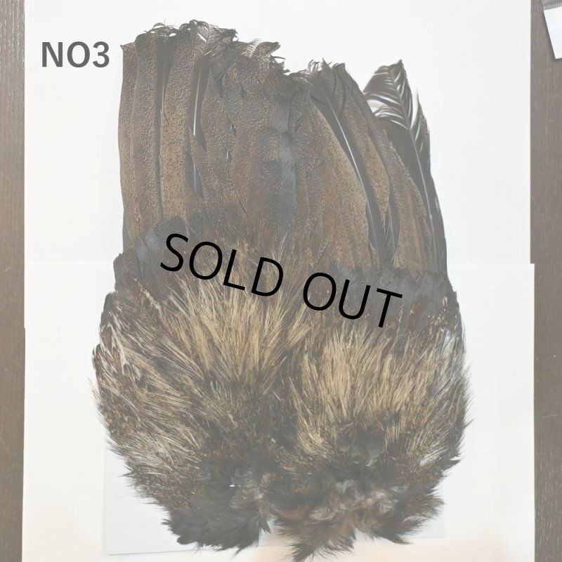 画像3: 【WHITING】Coq de Leon Rooster Wing  - PRO GRADE (3)