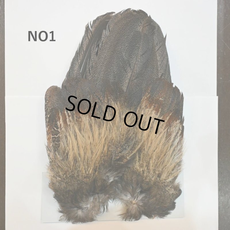 画像1: 【WHITING】Coq de Leon Rooster Wing - BRONZE GRADE   (1)