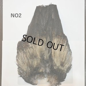 画像2: 【WHITING】Coq de Leon Rooster Wing - BRONZE GRADE  