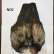 画像2: 【WHITING】Coq de Leon Rooster Wing - BRONZE GRADE  