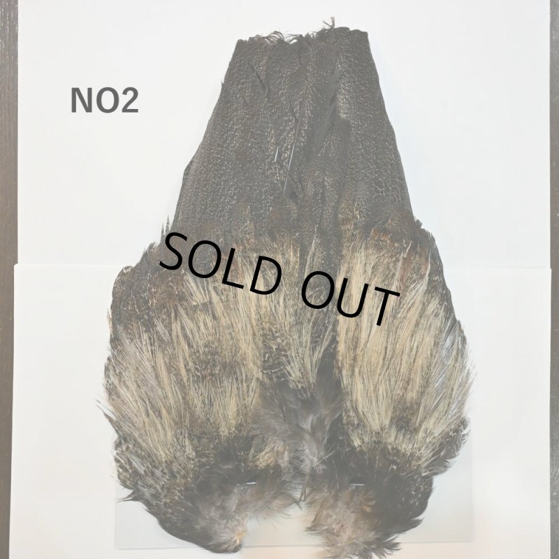 画像2: 【WHITING】Coq de Leon Rooster Wing - BRONZE GRADE   (2)