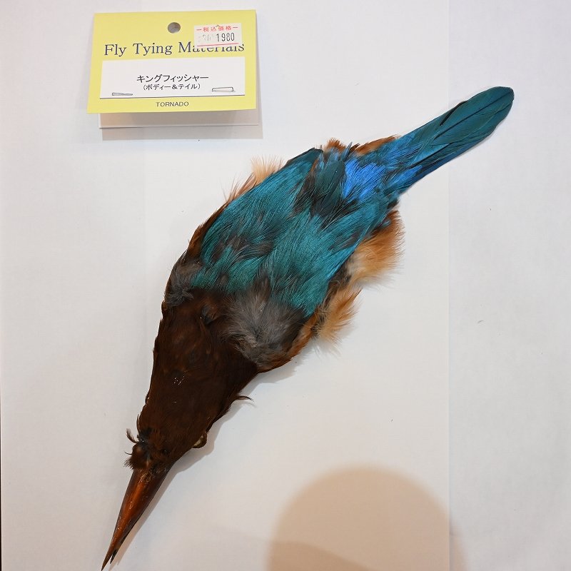 画像1: 【TORNADO】キングフィッシャー ボディ&テール (1)