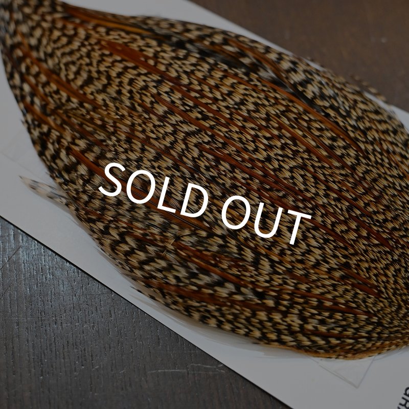 画像6: 【WHITING】Hebert ROOSTER CAPE PRO Grade - Cree No.1 (6)