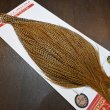 画像5: 【WHITING】ROOSTER CAPE Bronze Grade - Cree No.1 (5)