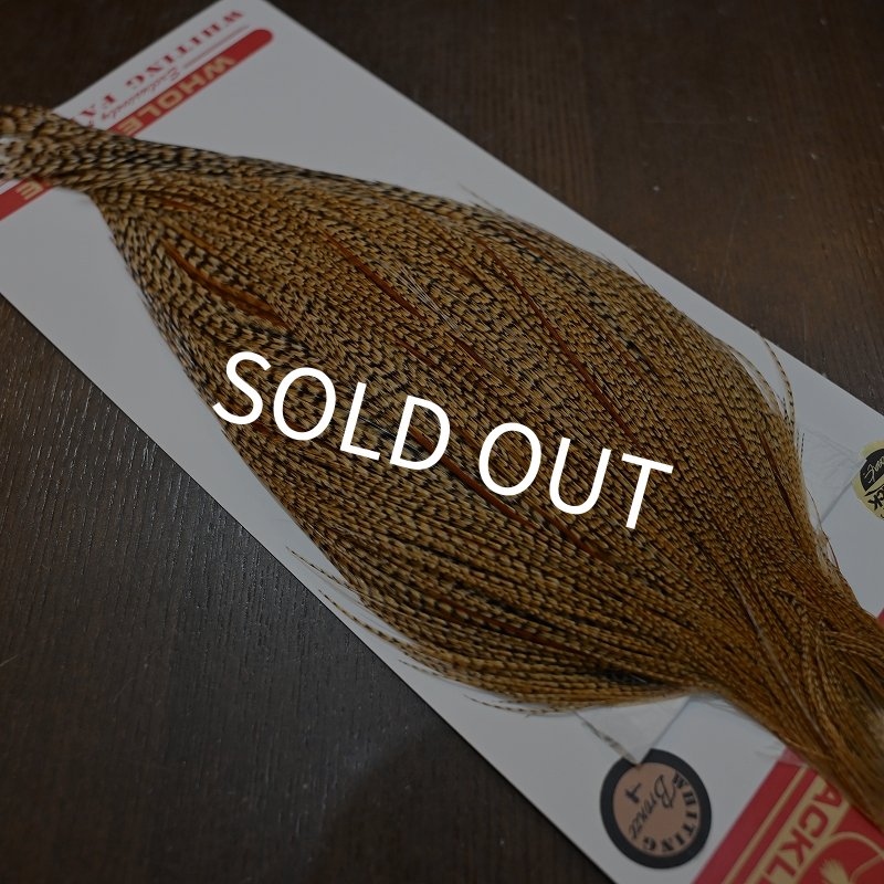 画像5: 【WHITING】ROOSTER CAPE Bronze Grade - Cree No.1 (5)