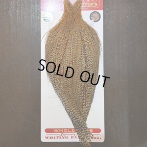 画像1: 【WHITING】ROOSTER CAPE Bronze Grade - Cree No.1