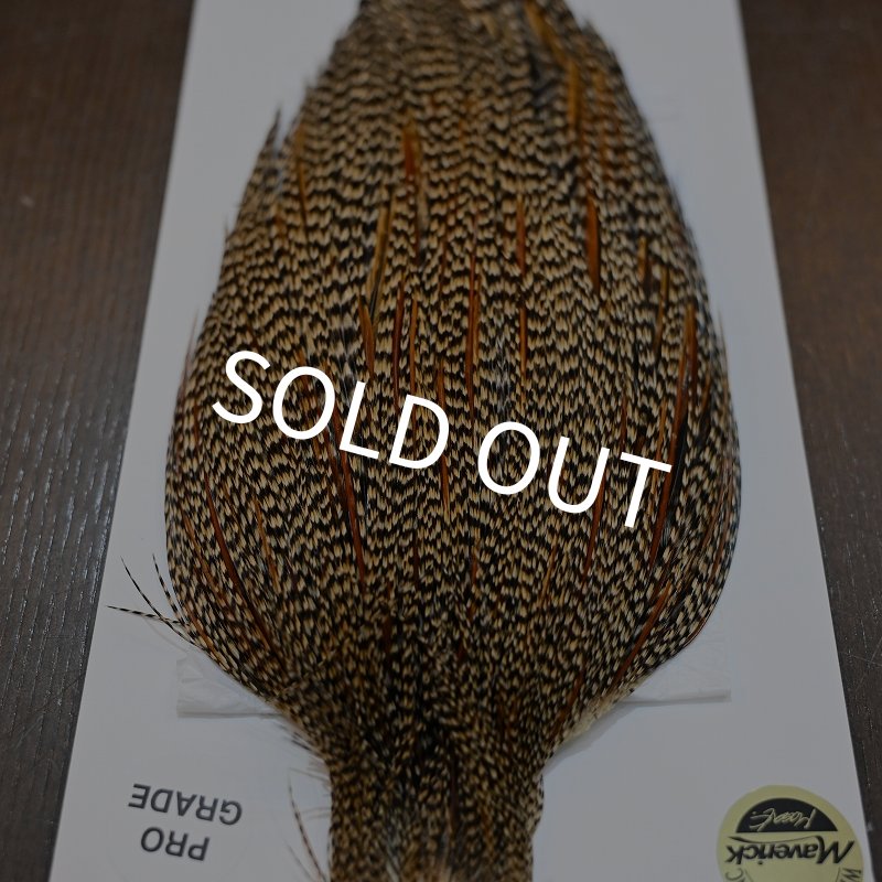 画像4: 【WHITING】ROOSTER CAPE Pro Grade - Cree No.1 (4)