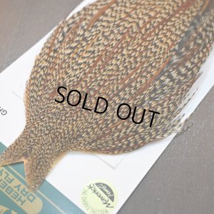 画像4: 【WHITING】Hebert ROOSTER CAPE PRO Grade - Cree No.1