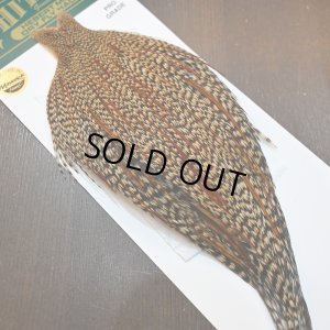 画像3: 【WHITING】Hebert ROOSTER CAPE PRO Grade - Cree No.1