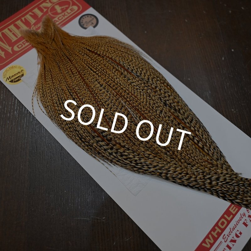 画像2: 【WHITING】ROOSTER CAPE Bronze Grade - Cree No.1 (2)