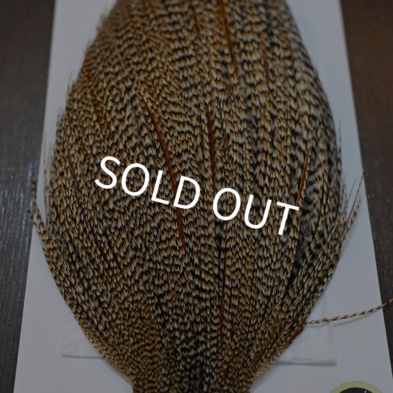 画像4: 【WHITING】Hebert ROOSTER CAPE PRO Grade - Cree No.2 (4)