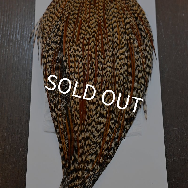 画像2: 【WHITING】Hebert ROOSTER CAPE PRO Grade - Cree No.1 (2)