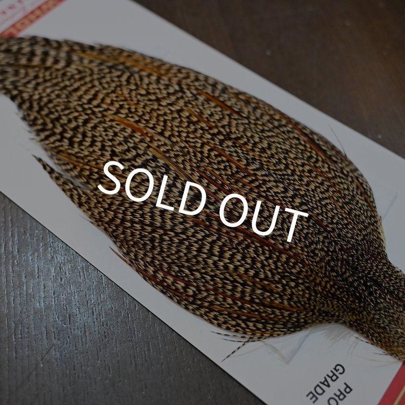 画像5: 【WHITING】ROOSTER CAPE Pro Grade - Cree No.1 (5)