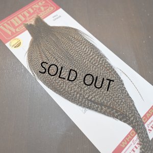 画像2: 【WHITING】ROOSTER CAPE Pro Grade - Cree No.2