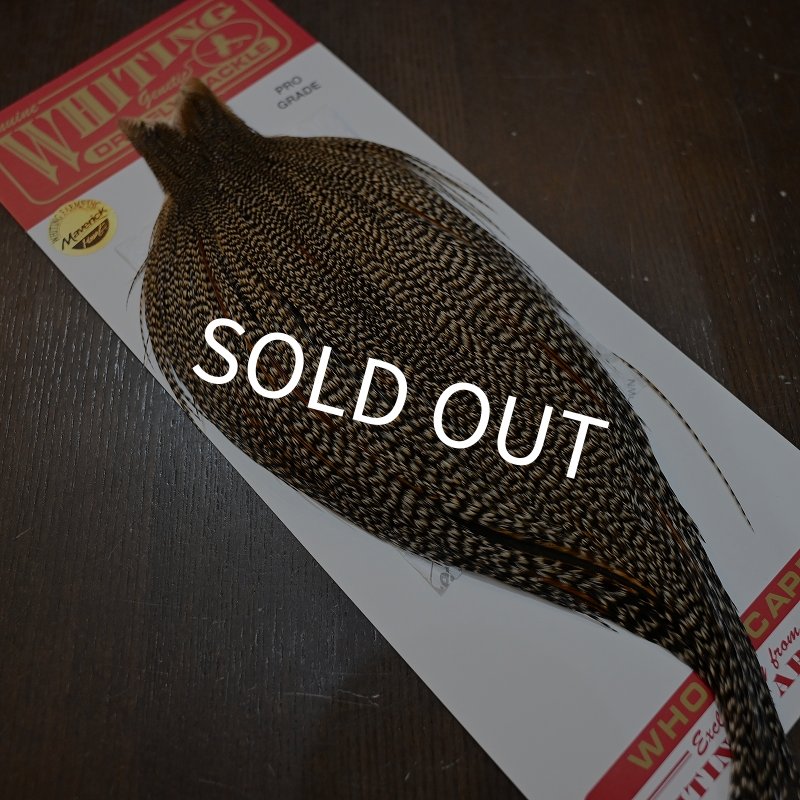 画像2: 【WHITING】ROOSTER CAPE Pro Grade - Cree No.2 (2)