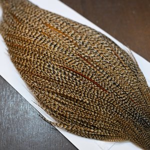 画像5: 【WHITING】Hebert ROOSTER CAPE PRO Grade - Cree No.2