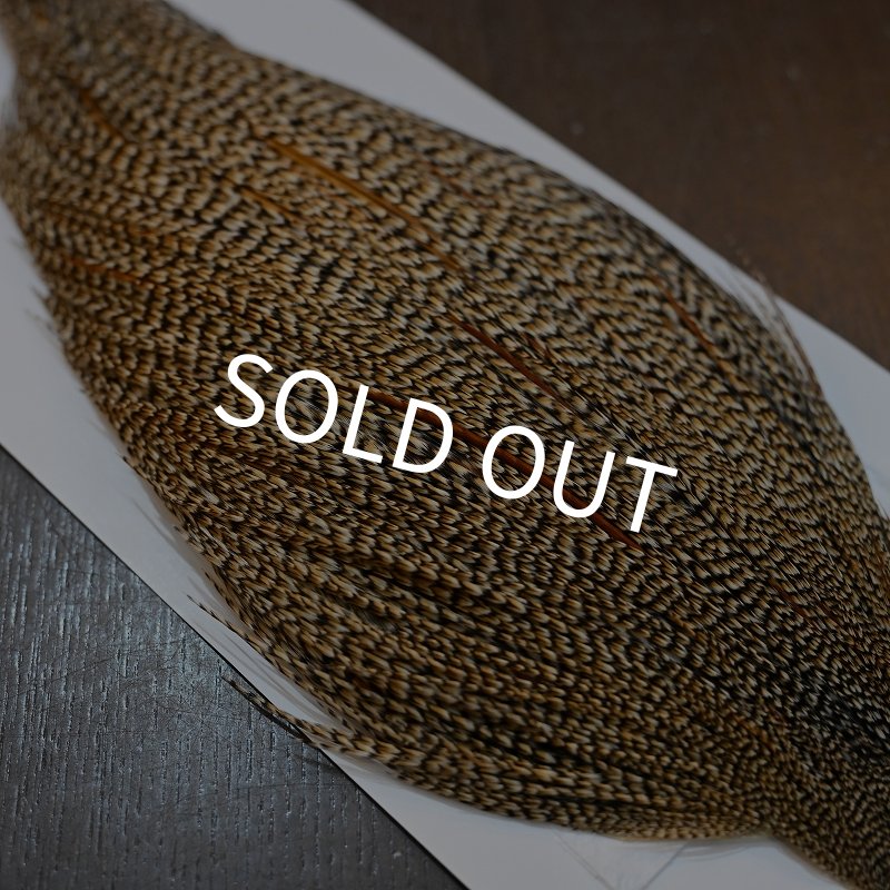 画像5: 【WHITING】Hebert ROOSTER CAPE PRO Grade - Cree No.2 (5)