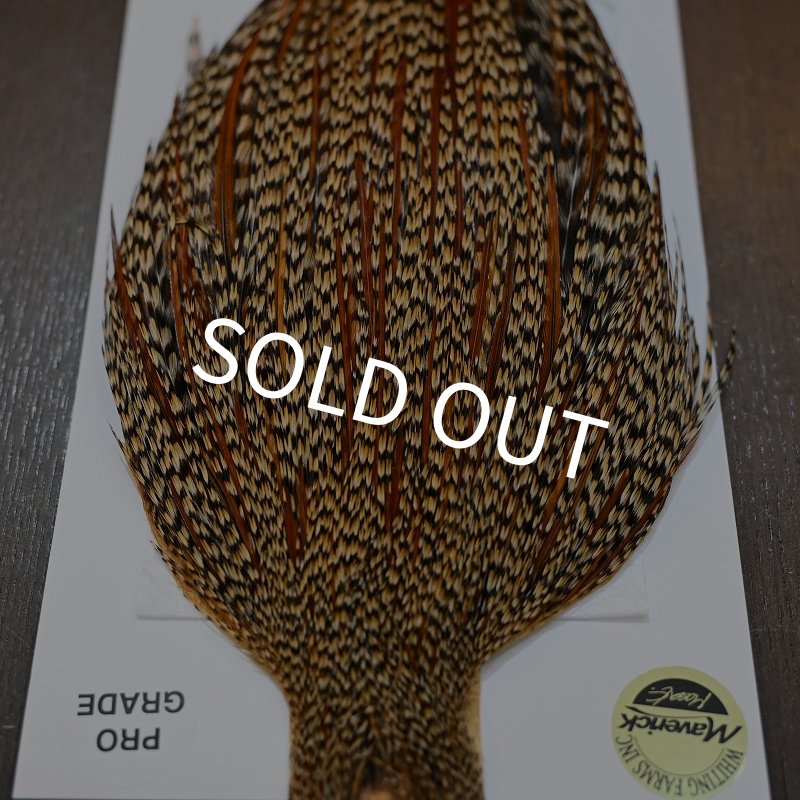 画像5: 【WHITING】Hebert ROOSTER CAPE PRO Grade - Cree No.1 (5)