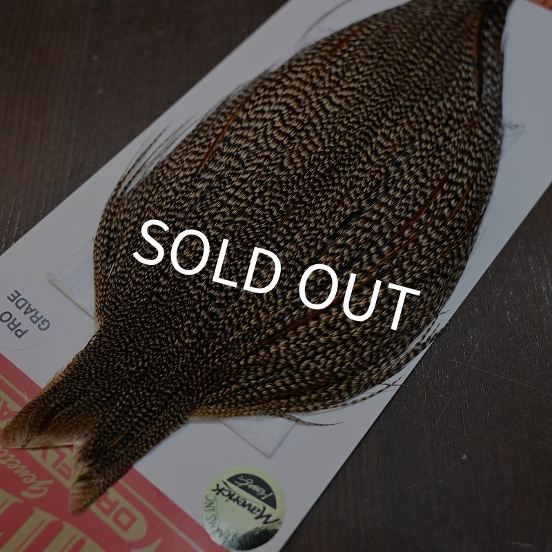 画像3: 【WHITING】ROOSTER CAPE Pro Grade - Cree No.2 (3)