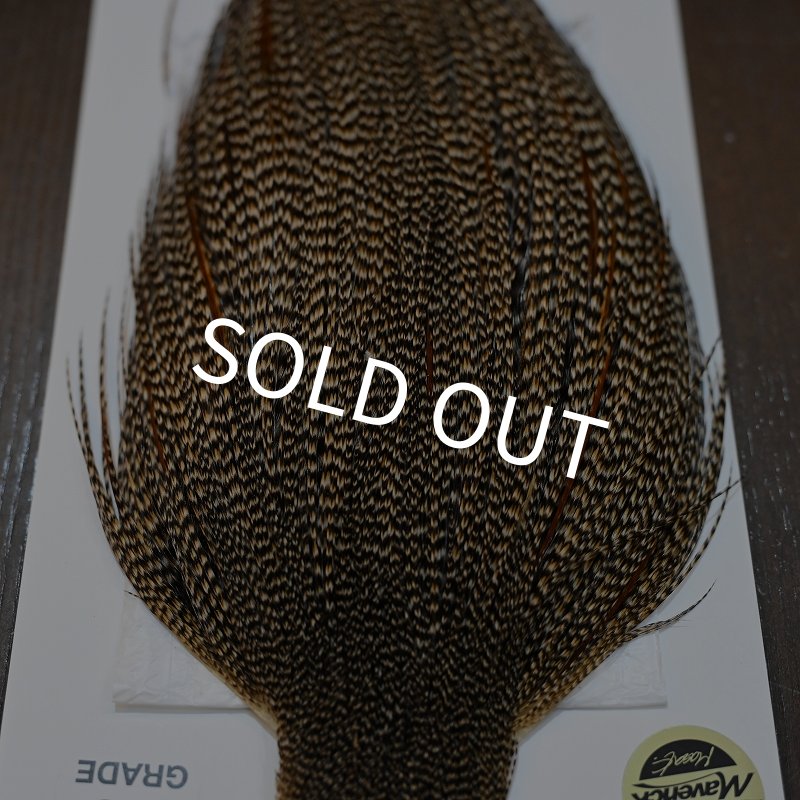 画像4: 【WHITING】ROOSTER CAPE Pro Grade - Cree No.2 (4)