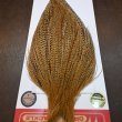 画像4: 【WHITING】ROOSTER CAPE Bronze Grade - Cree No.1 (4)