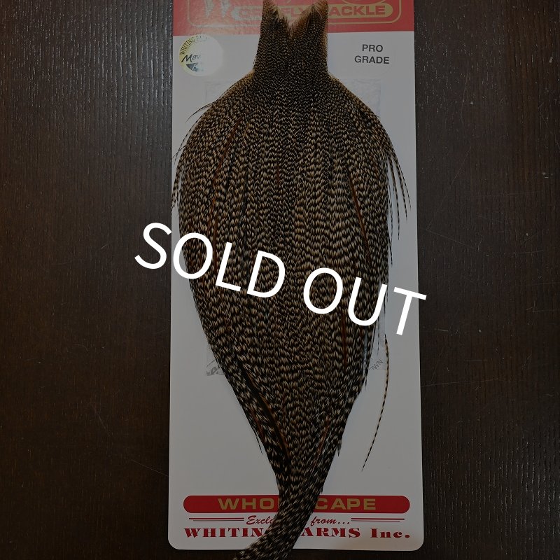 画像1: 【WHITING】ROOSTER CAPE Pro Grade - Cree No.2 (1)