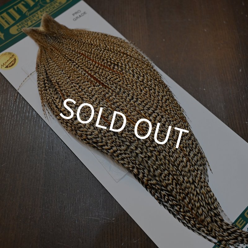 画像2: 【WHITING】Hebert ROOSTER CAPE PRO Grade - Cree No.2 (2)