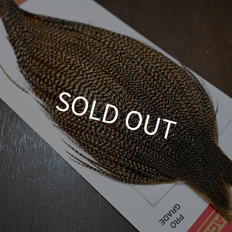 画像5: 【WHITING】ROOSTER CAPE Pro Grade - Cree No.2 (5)