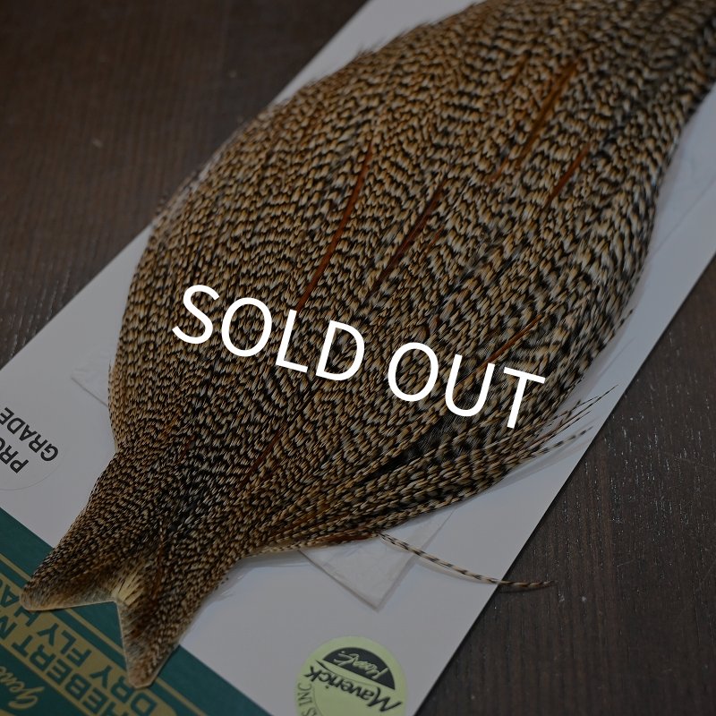 画像3: 【WHITING】Hebert ROOSTER CAPE PRO Grade - Cree No.2 (3)