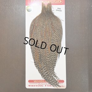 画像1: 【WHITING】ROOSTER CAPE Pro Grade - Cree No.1