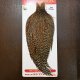 【WHITING】ROOSTER CAPE Pro Grade - Cree No.1