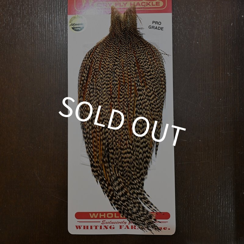 画像1: 【WHITING】ROOSTER CAPE Pro Grade - Cree No.1 (1)