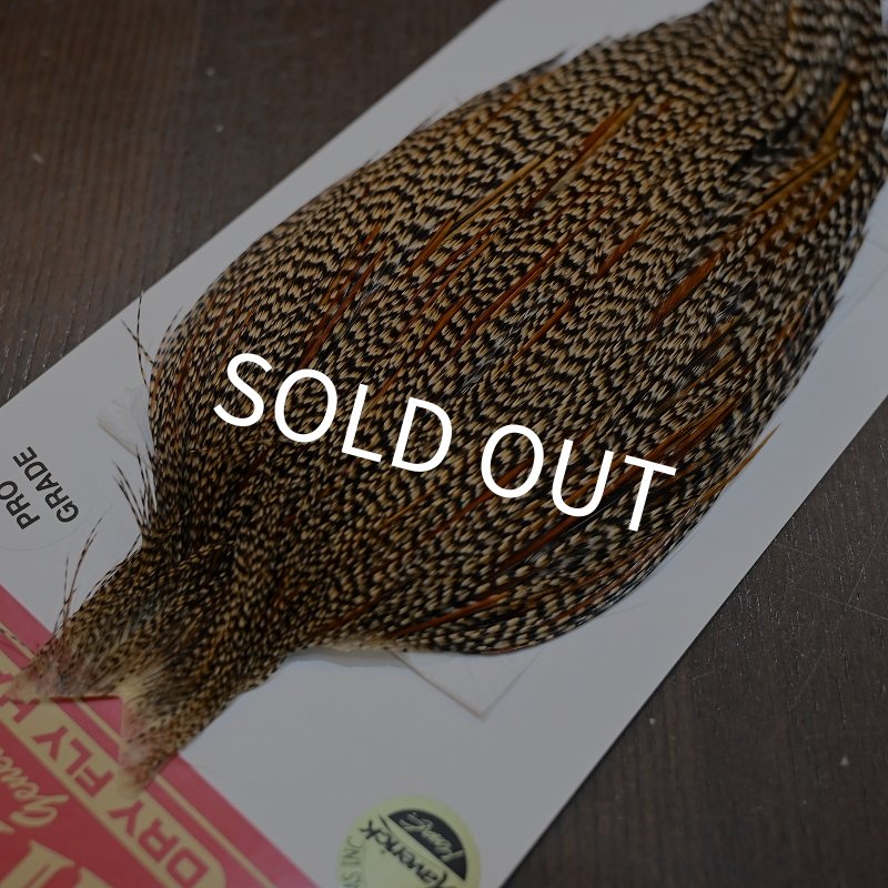 画像3: 【WHITING】ROOSTER CAPE Pro Grade - Cree No.1 (3)