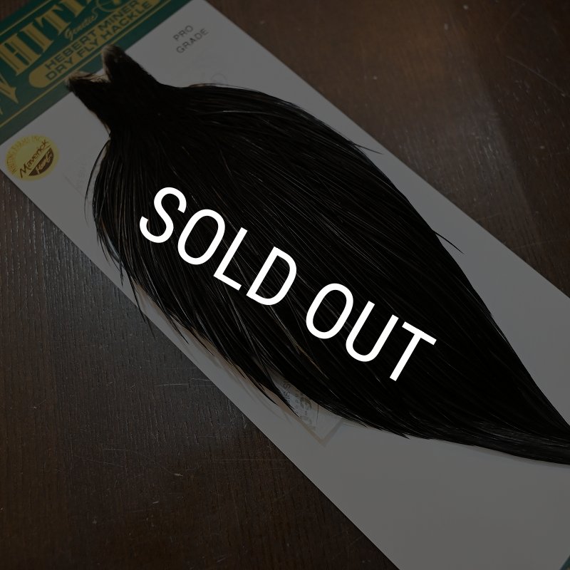 画像2: 【WHITING】Hebert ROOSTER CAPE PRO Grade - NA Black No.1 (2)