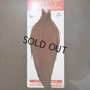 画像1: 【WHITING】ROOSTER CAPE PRO grade - Furnace No.1