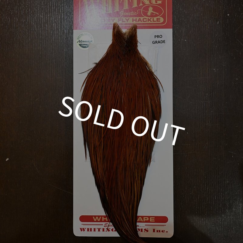 画像1: 【WHITING】ROOSTER CAPE PRO grade - Furnace No.1 (1)