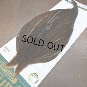 画像3: 【WHITING】Hebert ROOSTER CAPE PRO Grade - DARK BROWN DUN