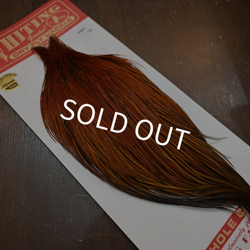 画像2: 【WHITING】ROOSTER CAPE PRO grade - Furnace No.2 (2)