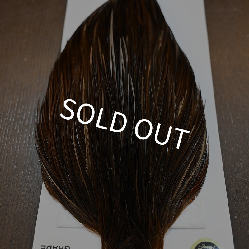 画像4: 【WHITING】Hebert ROOSTER CAPE PRO Grade - DARK BROWN DUN (4)