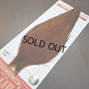 画像3: 【WHITING】ROOSTER CAPE PRO grade - Furnace No.1