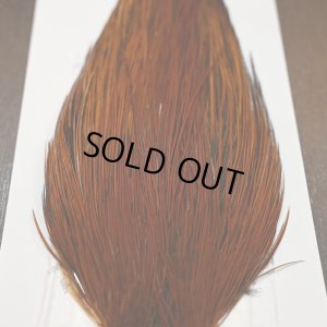 画像4: 【WHITING】ROOSTER CAPE PRO grade - Furnace No.1