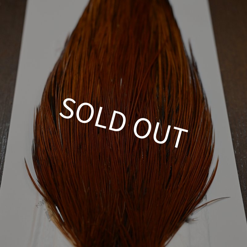 画像4: 【WHITING】ROOSTER CAPE PRO grade - Furnace No.1 (4)