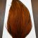 画像4: 【WHITING】ROOSTER CAPE PRO grade - Furnace No.2 (4)