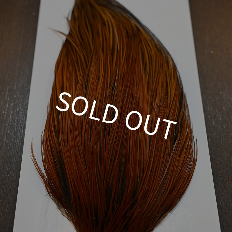 画像4: 【WHITING】ROOSTER CAPE PRO grade - Furnace No.2 (4)