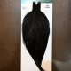 【WHITING】Hebert ROOSTER CAPE PRO Grade - NA Black No.1