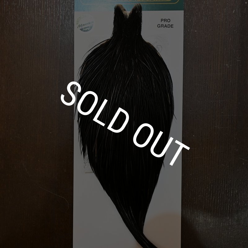 画像1: 【WHITING】Hebert ROOSTER CAPE PRO Grade - NA Black No.1 (1)