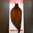 画像1: 【WHITING】ROOSTER CAPE PRO grade - Furnace No.2 (1)