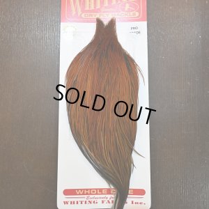 画像1: 【WHITING】ROOSTER CAPE PRO grade - Furnace No.2