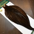 画像2: 【WHITING】Hebert ROOSTER CAPE PRO Grade - DARK BROWN DUN (2)